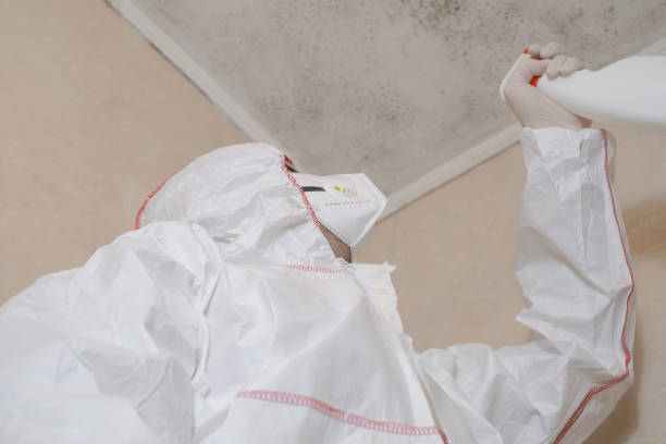 Best Emergency Mold Removal  in Westbury, NY